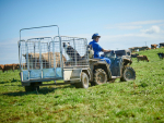 Helping keep a spring in dairy farmers&#039; steps