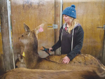 Emma Coutts loves her farm job which she says is a good balance of office and outdoors work. Photo: Elsie Rutherford.