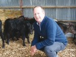 Firstlight Wagyu supply manager Peter Keeling with Wagyu cross calves.
