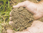 Soil structure determines the porosity, strength and stability of a soil.