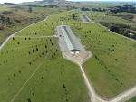 Mainland Poultrys Hillgrove Farm in Otago