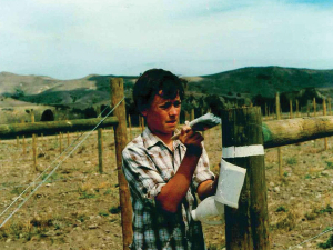 Ed Donaldson painting vineyard posts in 1987.