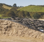 Building resilient dairy farm systems