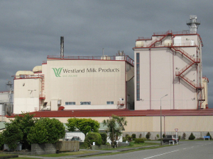 Westland Milk Products has surpassed $1 billion in annual revenue for the first time.