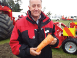 Carrot harvesting on a giant scale