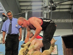 Taranaki shearer Darren Alexander at week&#039;s Royal Bath and West Show at Shepton Mallet in the southwest of England.