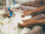 Demand for wool carpets is on the rise, say retailers.