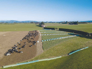 DairyNZ says farmers should plan now for a successful winter in 2020.