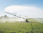 A national water strategy and water storage top the election manifesto of Irrigation NZ.