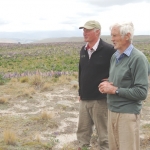 David Scott and Gavin Loxton survey a stand of lupin.