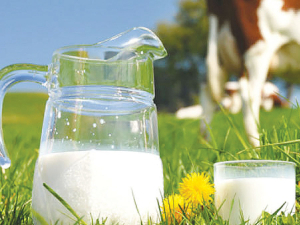 ASB now believes New Zealand dairy farmers will get a record $10.25/ kgMS for their milk this season.