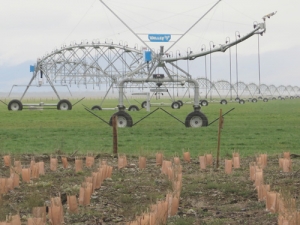 The Ngai Tāhu Farming project shows there are &quot;means and ways&quot; to restore natural biodiversity into a dairy farming environment.