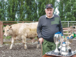 Dunsandel farmer John McCrory with his haul of cups and ribbons having all but scooped the pool in the NZ Agricultural Show Prime Beef competition. With him in his cattle yard is a 748kg steer of the same line as the heifer which won the supreme championship. The steer was also due to be auctioned at the show, during the Young Auctioneers contest. Photo: Rural News Group.