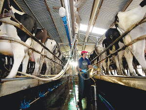 Australian milk production could rise at least 2% this year, according to the latest forecast.