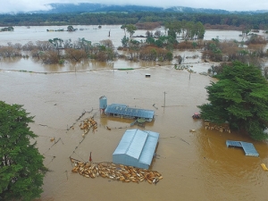 A flooded dairy farm in Tasmania: Neil Hargreaves film/photo.