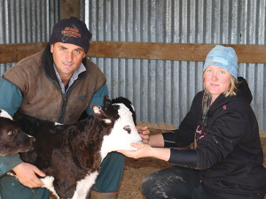 Ben Allomes with staff Charlotte Oram tending to calves on the farm.