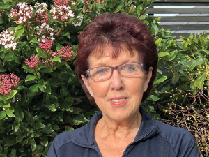 New NZ Vegetable Council to Strengthen Growers' Voice
