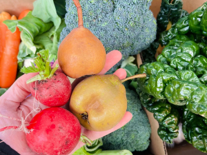 Beyond blaming supermarkets, there are simple choices we can make as shoppers that can take some of the sting out of rising costs.
