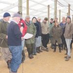 Different milking regimes work