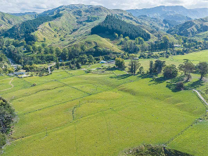 Environment Canterbury urges buyers to check wastewater systems on rural properties