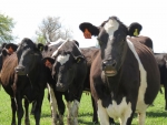 Academy to train dairy leaders