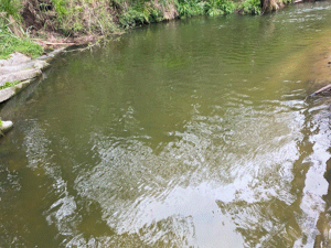 Waitetī stream running brown. Photo Credit: Toi Moana Bay of Plenty Regional Council.