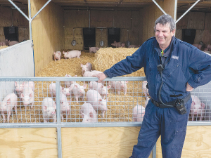 Christchurch Men’s Prison farm chief instructor Warren Chilton with fattening pigs on one of the farm’s Freedom Farms-certified straw barns. Photo: Rural News Group.