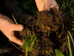 Cambridge farm software entrepreneur Peter Floyd believes soils’ power as a carbon sink warrants more investigation and funding.