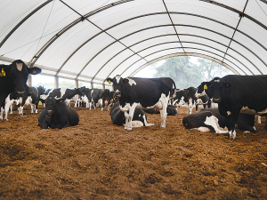 There is a general trend of utilising the shelter at nights during the cooler autumn and winter months and using the shelter during the day in the warmer months.