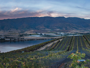 Prophet&#039;s Rock. Photo Credit: New Zealand Winegrower