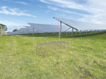 Solar panels set up for a study on a Taranaki farm.