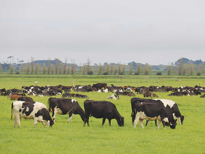 Grass growing conditions over the summer months will be another key variable to this season’s milk price.