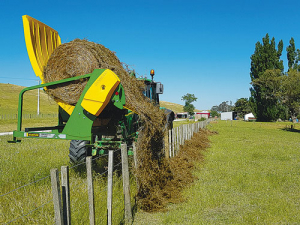 Feeding round balage over fences can save labour costs.