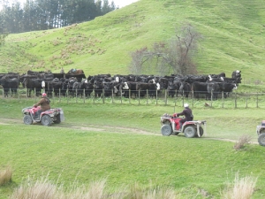 The vexed issue of quad bike safety is just one of the concerns farmers must consider with changes to health and safety laws coming.