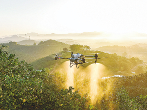 A spraying drone in action.