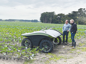 Greentech Robotics’ WeedSpider is a fully autonomous robotic-weeder is designed to remove weeds quickly and accurately from commercial vegetable fields.