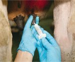 NZVA to discuss science