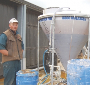 New way through feed supplement roadblock