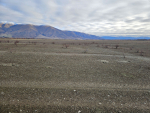 Another solar farm on the cards