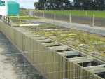 Weeping wall constructed for a 800-cow farm.