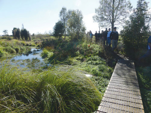 Visitors enjoy the wetlands established at Five Springs Farm in Springston.