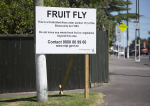 Fruit fly controls lifted