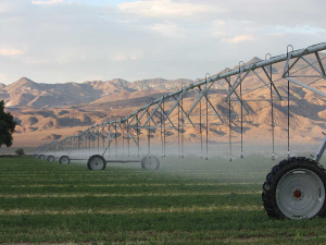 The growing political recognition of New Zealand’s water challenges is a shift towards solutions IrrigationNZ has been promoting for years.