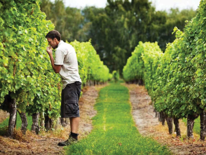 Winemaker Anthony Walkenhorst.