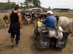 Farm Worker Appreciation Day is a reminder to employers to do the best by their staff every day of the year.