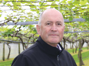 Horticulture NZ chair Barry O&#039;Neil says the sector is facing layer-upon-layer of bureaucracy.