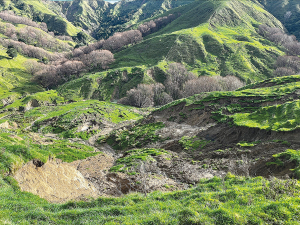 Toby Williams, whose property is just out of Gisborne, says the weather damage on his farm has been relentless – with fences lost and many small slips that have had to be cleared multiple times.