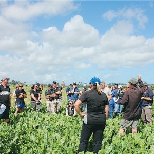 Match the crop to conditions