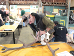 Mark Sarjeant, New Zealand Deerstalkers Association, at work.