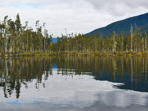 Katie Milne says many groups have come together to reach targets at Lake Brunner, near her farm.